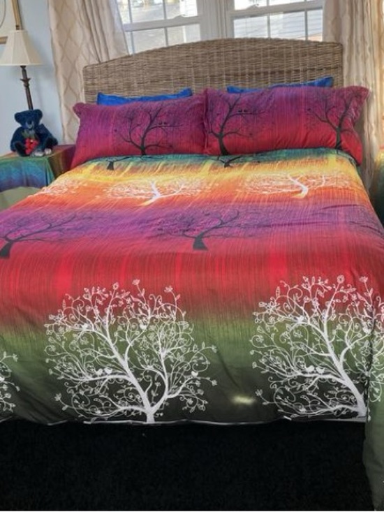 Swanson Other - Queen Rainbow Bohemian Style Duvet Cover with 4 Matching Drape Panels